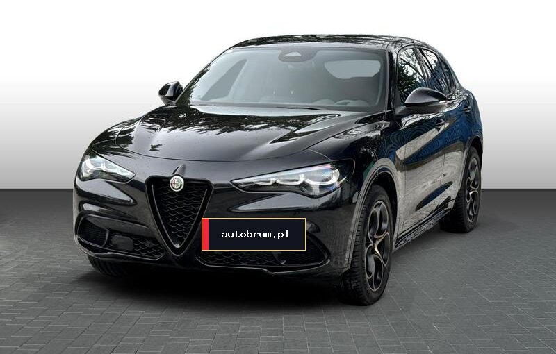 Alfa Romeo Stelvio 2.0 T 16v Intensa 280KM AT Q4 5d – zdjęcie 1