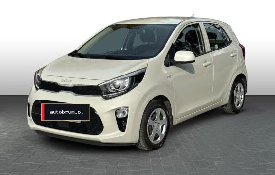 Kia Picanto 2023 – auto używane w najmie